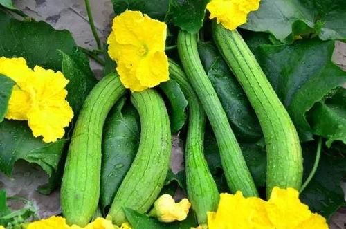 卡点音乐娱乐吃瓜,吃瓜群众揭秘幕后故事