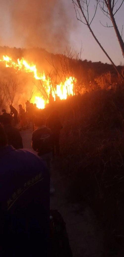 狮子山爆料视频播放,揭秘事件背后惊人真相 第2张 狮子山爆料视频播放,揭秘事件背后惊人真相 第2张